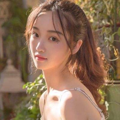 龙城决单职业bt版下载
